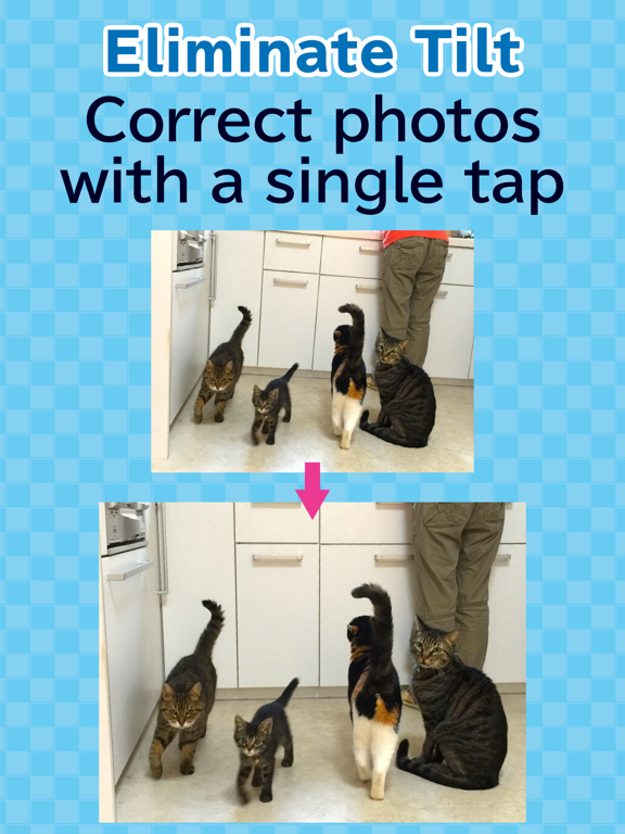 toruneko (KittyCam) iPad screenshot 5 - Photo & Video app