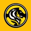 Lion Car