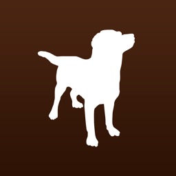 Chiens Calendrier