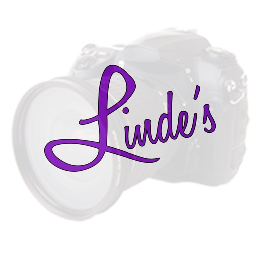 Linde's Livestock Photography