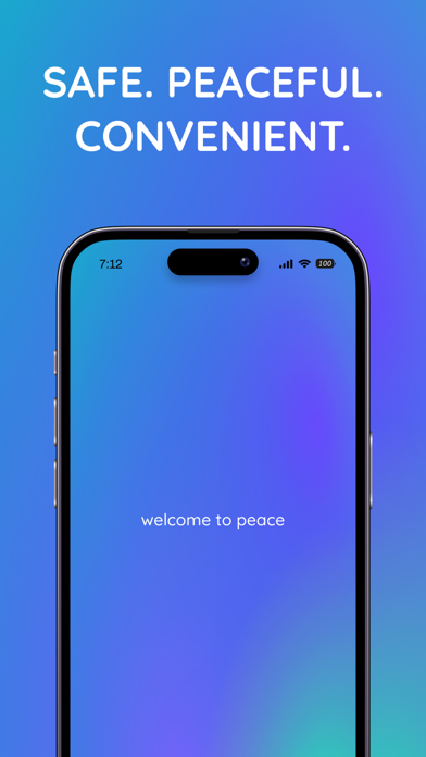 Zen Shuttles Screenshot