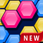 Hexa Block Puzzle Game