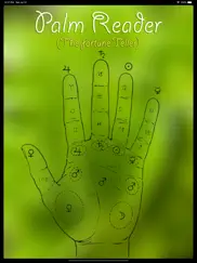 palm reader the fortune teller ipad images 1