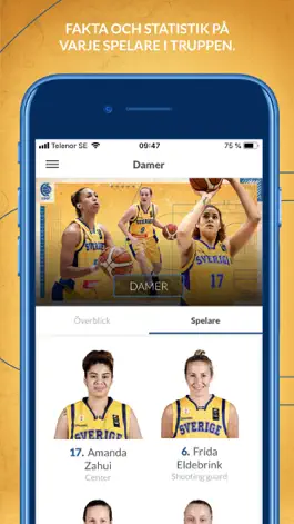 Game screenshot Team Sweden Basketball hack