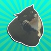 Maxwell Forever - Cat Game by Popa Radu