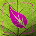 Plant Disease Identifier Prime App Positive Reviews