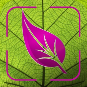螢幕擷取畫面 (8) Plant Disease Identifier Prime