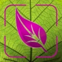 Plant Disease Identifier Prime app download