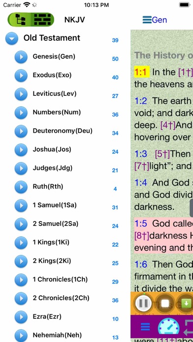 Bilingual Audio Holy Bible Screenshot