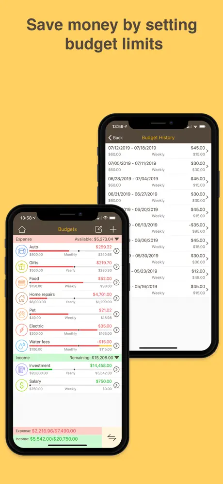 Money Monitor Pro