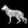 3D Canine Anatomy