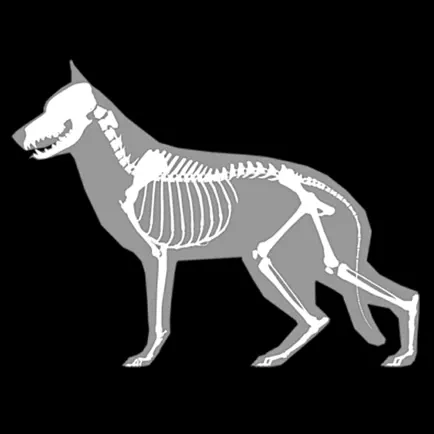 3D Canine Anatomy Читы