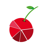 Cherry MF Stocks and Bonds