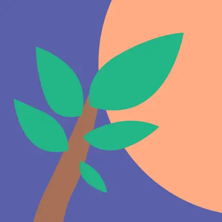 Vida Vively Читы