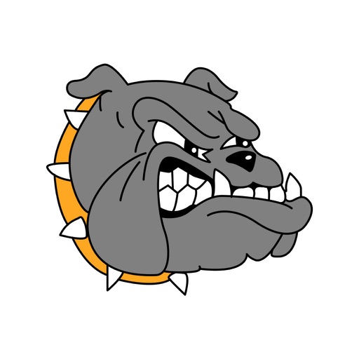 Madison-Virgil USD 386