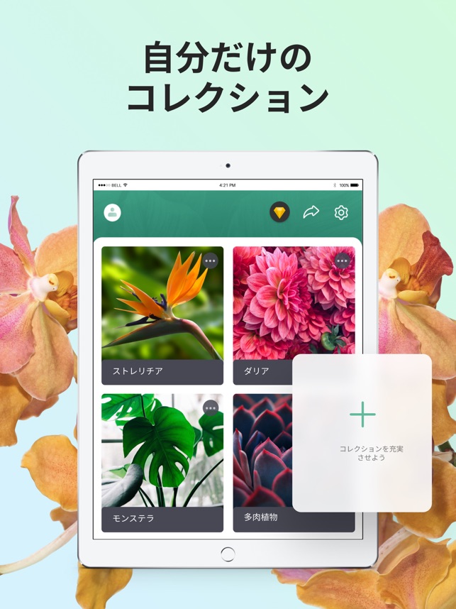 Picturethis 撮ったら 判る 1秒植物図鑑 をapp Storeで