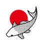 Sushi Club Ptz app download
