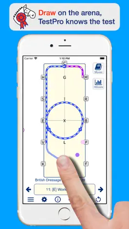 Game screenshot TestPro BD British Dressage apk