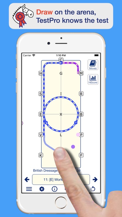 TestPro BD British Dressageのおすすめ画像2