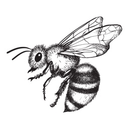 Sweet Memes Desserts and Tea