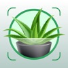 Plant Identifier Aрр Plant ID icon