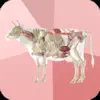 Beef Cuts 3D App Feedback