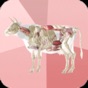 Beef Cuts 3D app download