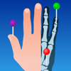 IMAIOS e-Anatomy app