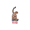 Sculp - Personal Fitness Coach icon