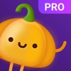VPN Pumpkin Master icon