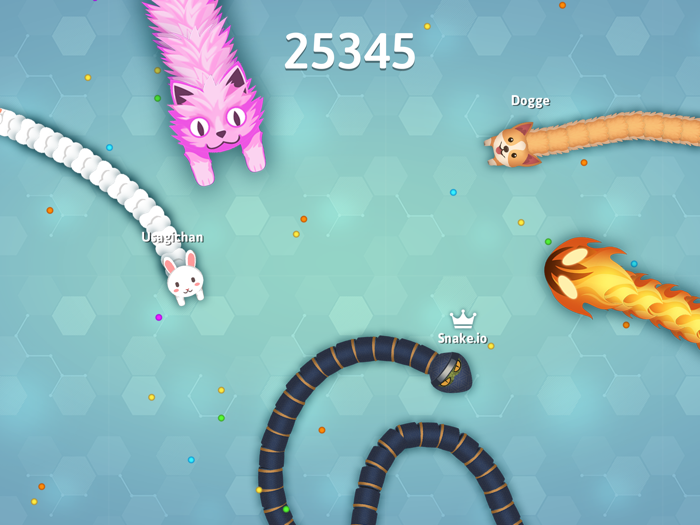 Snake.io - Fun Online Snake