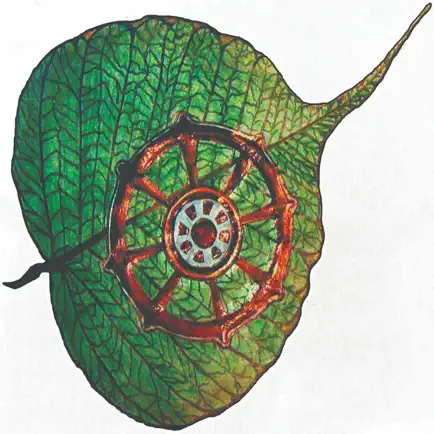 Dhamma Sukha Cheats