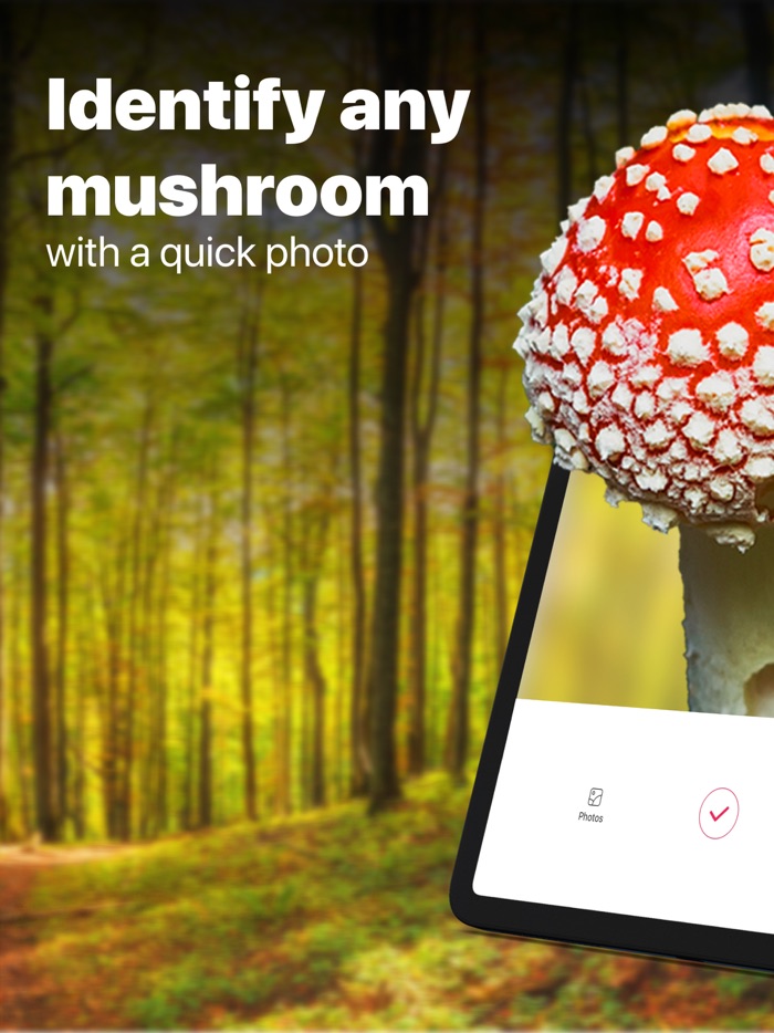 Picture Mushroom Fungi finder