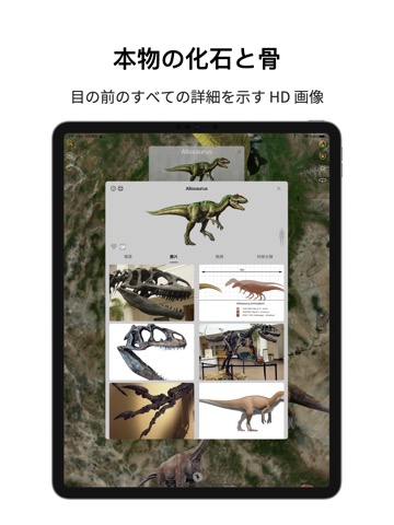 恐竜博物館-go to the dino parkのおすすめ画像4