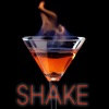 SHAKE: Martini Recipes