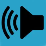 Speaker Polarity App Problems