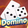 Domino Board Game App Feedback