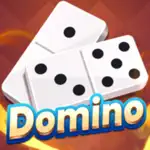 Domino Board Game App Support
