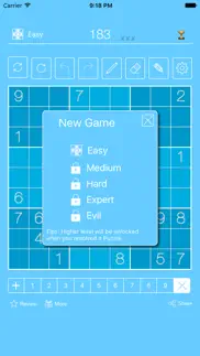 sudoku² problems & solutions and troubleshooting guide - 4