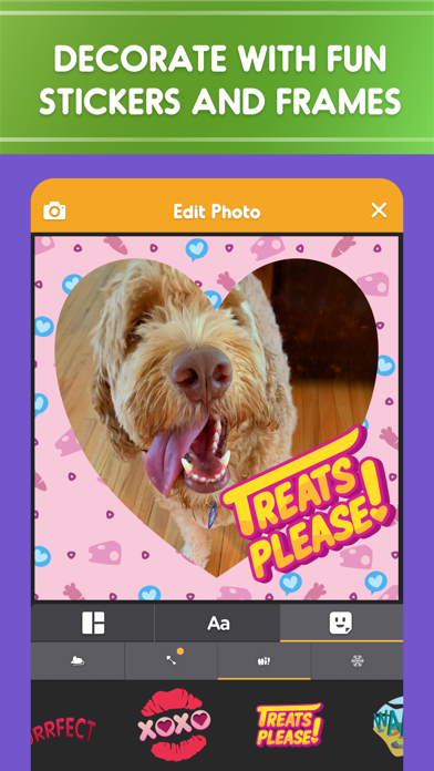 Pet Parade: Cutest Dogs & Cats Screenshot