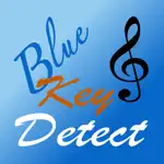 BlueKeyDetect App Problems