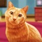 My Cute Pet Cat Life Simulator