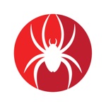 Download Spider's Journey app