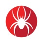 Spider's Journey app download