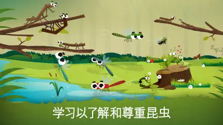 The Bugs I: Insects?
