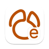 Navicat Ess 16 for MongoDB