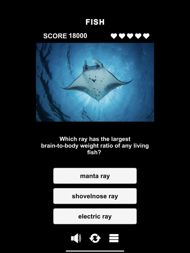 ‎Animal Class Screenshot