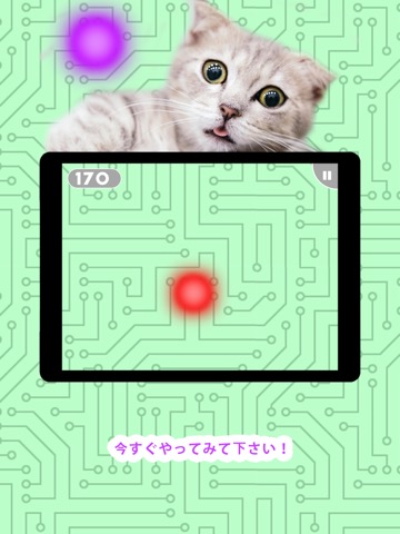 猫のためのゲーム！のおすすめ画像4