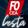 FO CEA CESTA icon