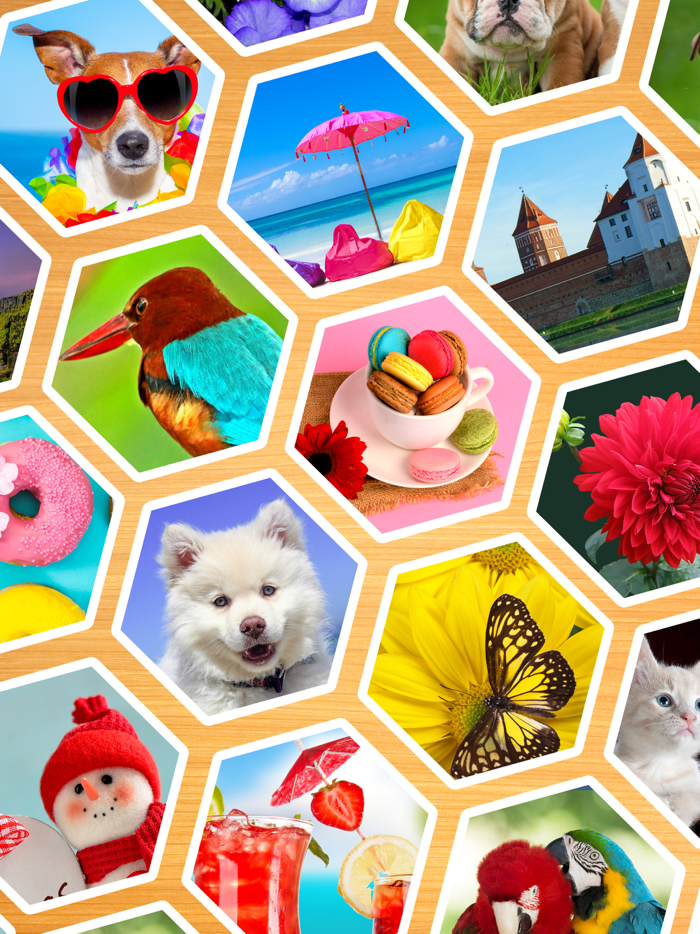 Jigsaw Puzzles Hexa Ⓞ